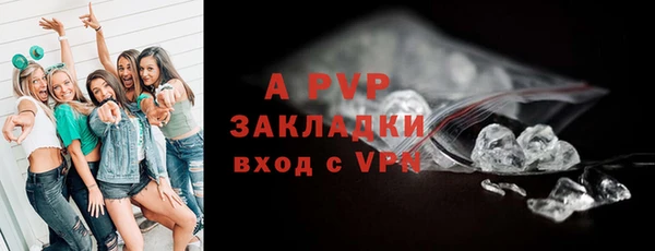 apvp Гусев
