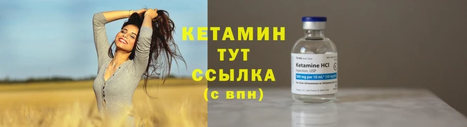 apvp Гусев