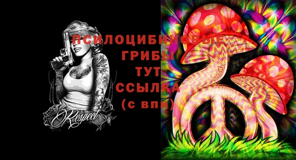 apvp Гусев