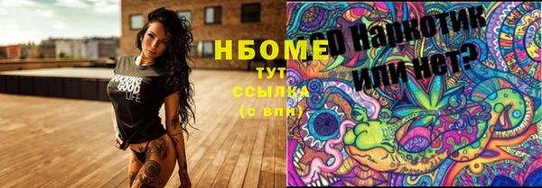 молекула духа Гусиноозёрск