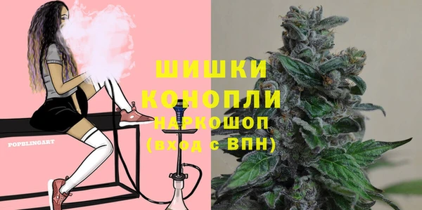 молекула духа Гусиноозёрск