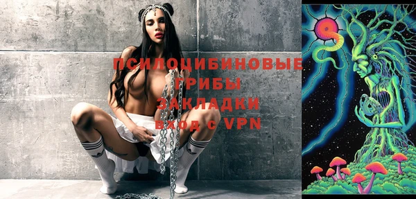 молекула духа Гусиноозёрск