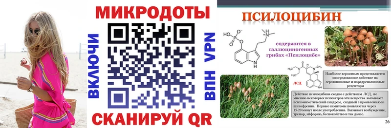 закладки  Осинники  Галлюциногенные грибы Psilocybe 