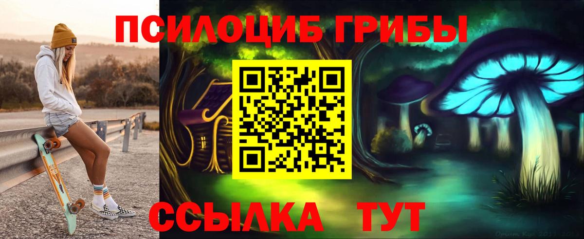 Псилоцибиновые грибы Cubensis  Вход с VPN  Галлюциногенные грибы мухоморы  Осинники 