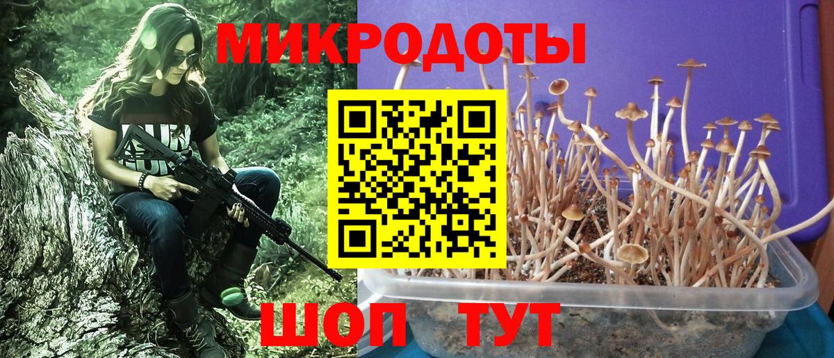 Псилоцибиновые грибы ЛСД Осинники